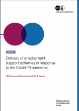 Delivery of employment support schemes in response to the COVID-19 pandemic