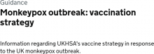 Monkeypox outbreak: vaccination strategy
