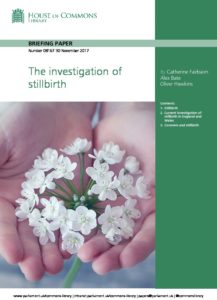 The investigation of stillbirth: (Briefing Paper Number 08167)