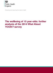 The wellbeing of 15 year-olds: further analysis of the 2014 What About YOUth? survey