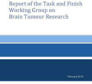 Report of the Task and Finish Working Group on Brain Tumour Research