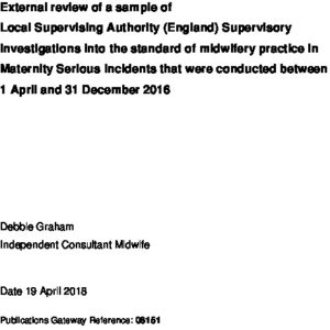 Lsa-supervisory-investigation-review-report