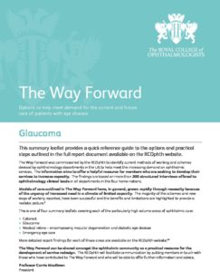 The Way Forward options to help meet demand for the current and future care of patients with eye disease: Glaucoma: Executive Summary 
