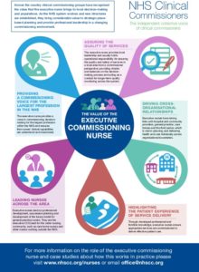 The Value Of The Executive Commissioning Nurse