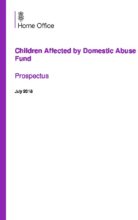 Children affected by domestic abuse fund: prospectus