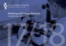 Meeting pathology demand: Histopathology workforce census