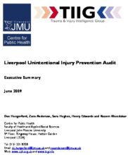 Liverpool Unintentional Injury Prevention Audit: Executive Summary