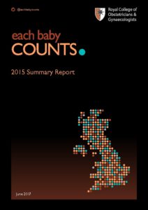 Each Baby Counts: 2015 Summary Report